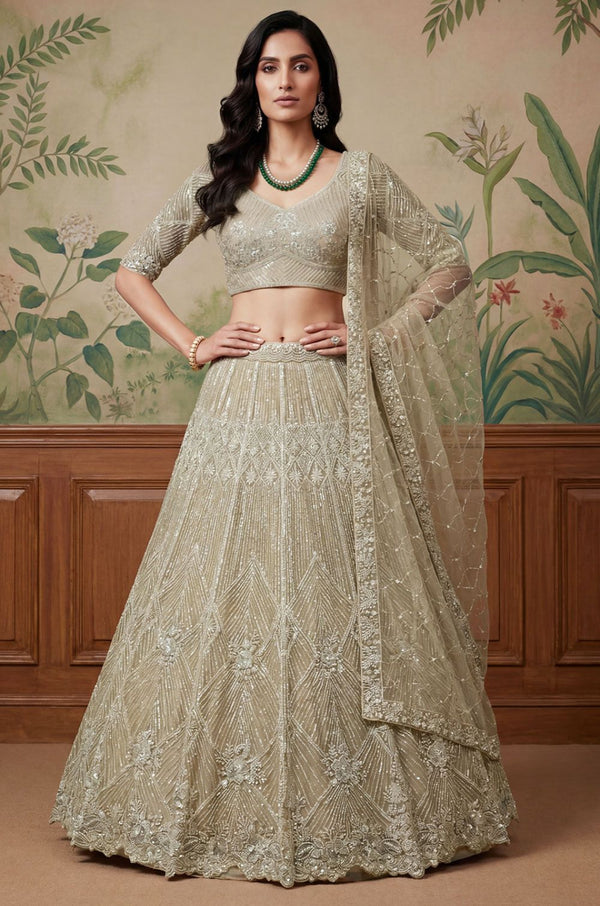 Golden Net Lehenga Choli - SFANJ3258