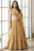 Golden Net Lehenga Choli - SFSA520304