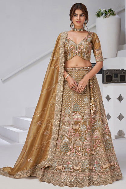 Brown Organza Lehenga Choli - SFRELS6524