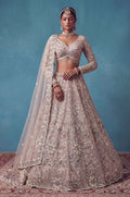 Pink Net Lehenga Choli - SFANJ3463R