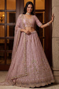 Pink Net Lehenga Choli - SFANJ3374