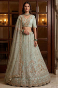 Blue Net Lehenga Choli - SFANJ3371