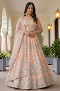 Peach Net Lehenga Choli - SFANJ3277