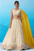 White Tissue Lehenga Choli - SFROY571802
