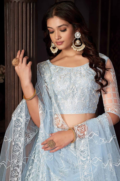 Blue Net Lehenga Choli - SFROY474804