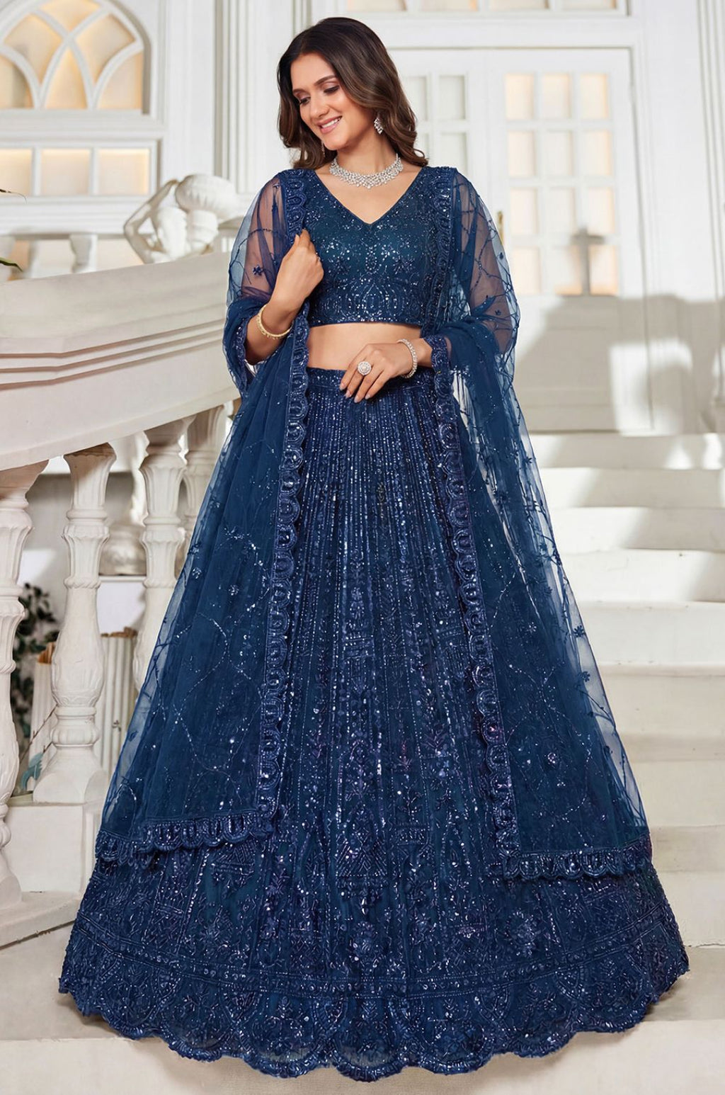 Blue Net Lehenga Choli - SFANJ3301
