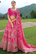 Rani Bridal Sangeet Silk Lehenga Choli Set SFSJDN25204