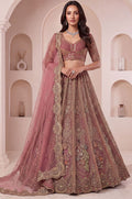 Brown Net Lehenga Choli - SFANJ3461