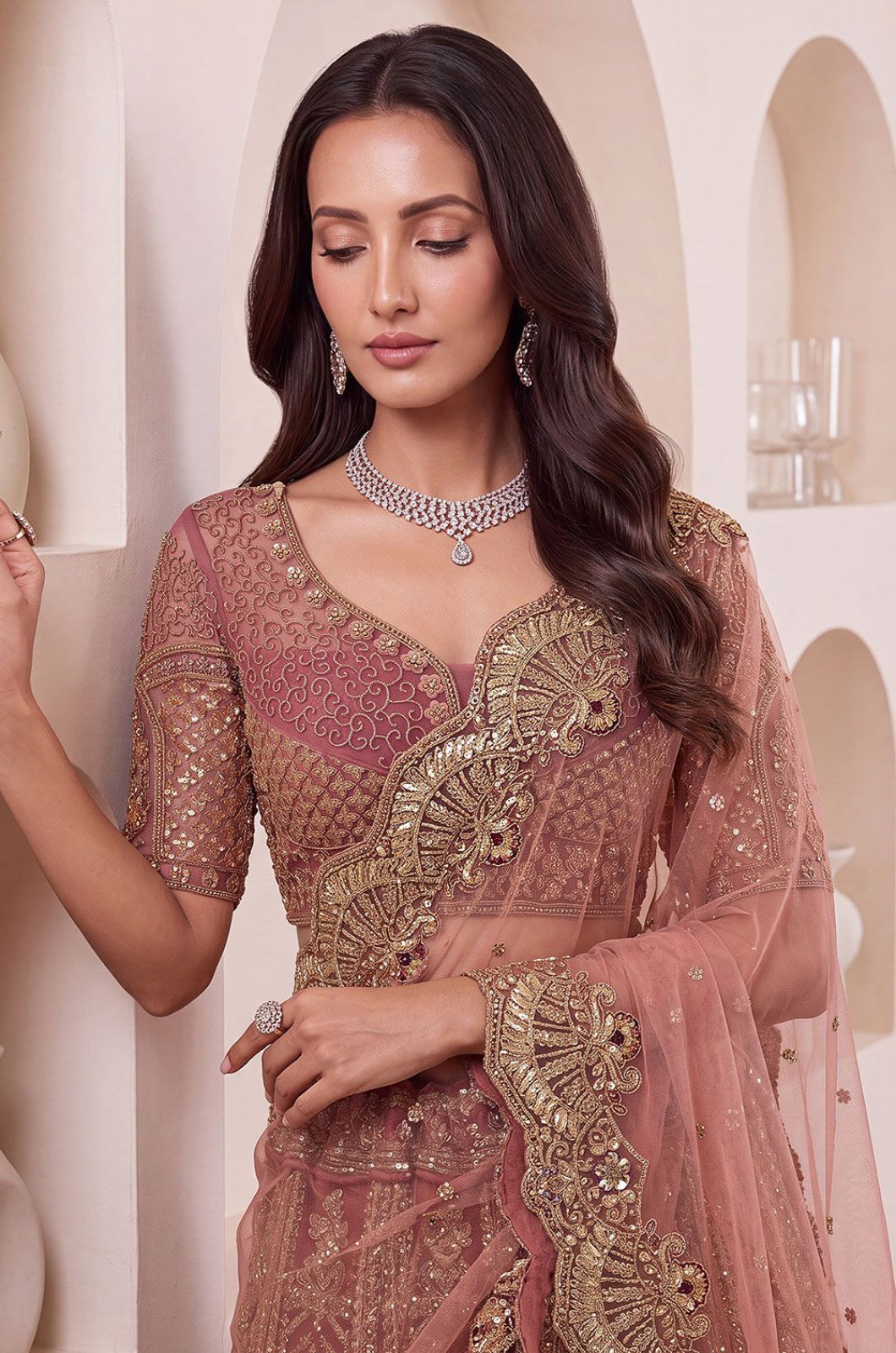 Brown Net Lehenga Choli - SFANJ3461