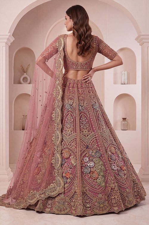 Brown Net Lehenga Choli - SFANJ3461