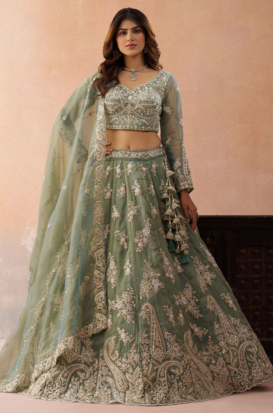 Green Tissue Lehenga Choli - SFROY571713