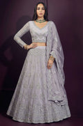 Grey Net Lehenga Choli - SFSA572904