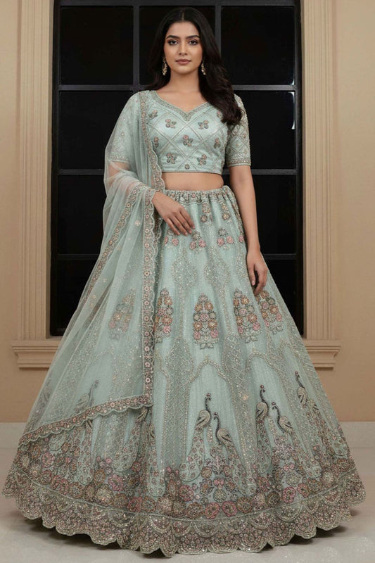Blue Net Lehenga Choli - SFANJ3211