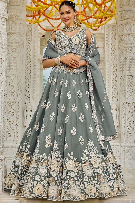 Grey Organza Lehenga Choli - SFPRF261501R