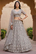 Grey Net Lehenga Choli - SFANJ3276