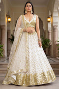 White Net Lehenga Choli - SFANJ3278