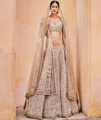 Bridal Beige Gold Net Lehenga Set In Crystal INS432 - Siya Fashions
