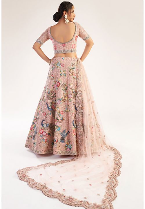 Succulent Blush Pink Bridal Wedding Reception Lehenga In Net SFSA306502 - Siya Fashions