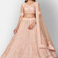 Buy Bridal Pastel Peach Net Lehenga Zarkan Work SFHST1002 - Siya Fashions